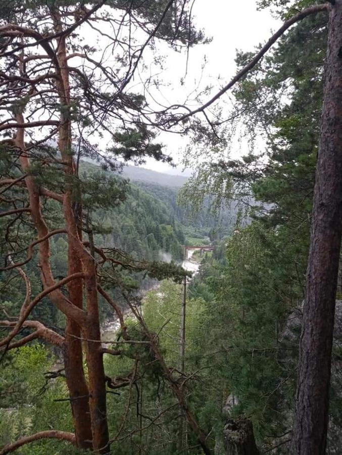 Лісова Казка Villa Yaremche Bagian luar foto