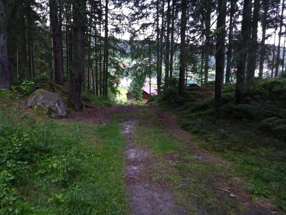 Лісова Казка Villa Yaremche Bagian luar foto
