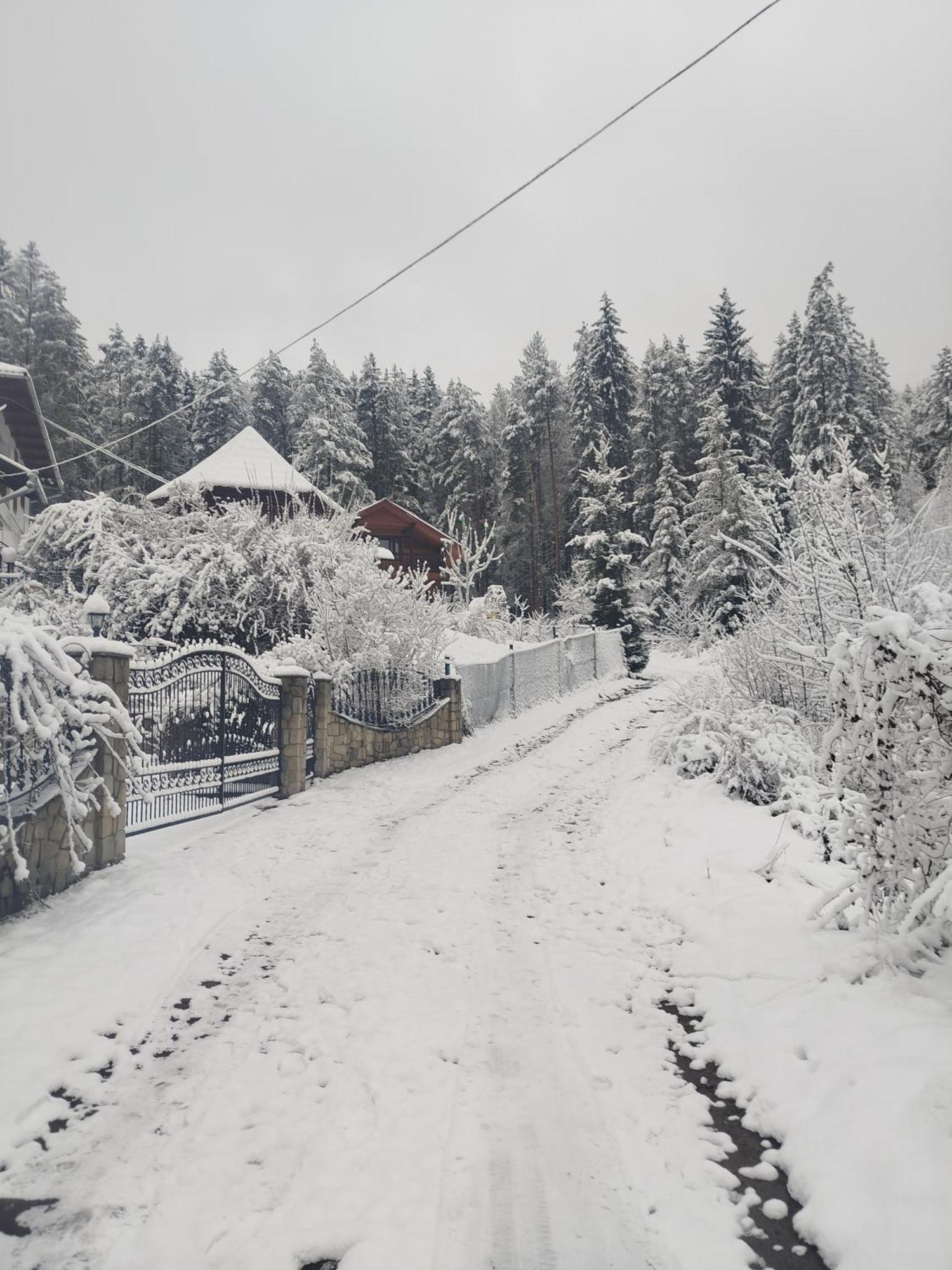 Лісова Казка Villa Yaremche Bagian luar foto