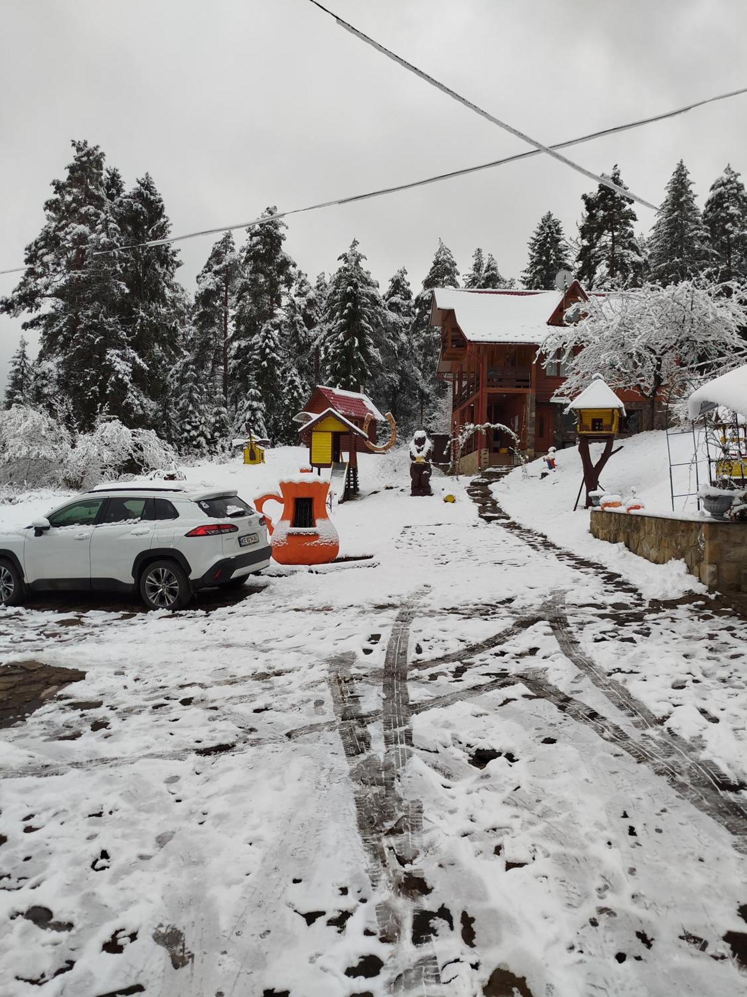 Лісова Казка Villa Yaremche Ruang foto